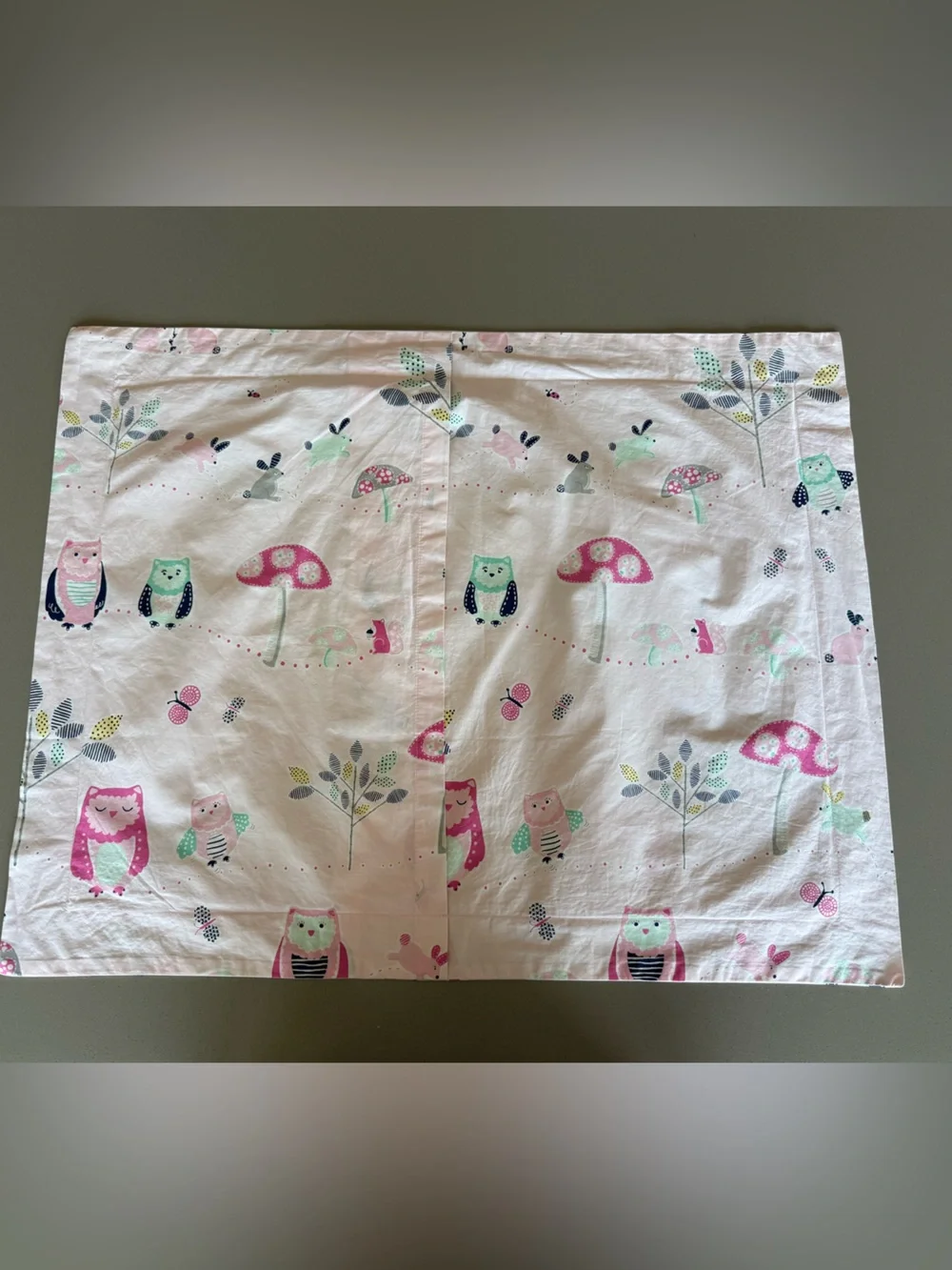 Pottery Barn Kids Pink Whimsical Standard Sham